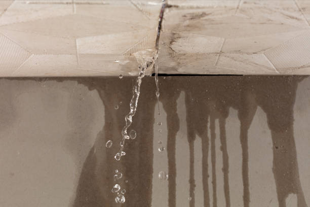 Professional Water Damage Repair technician working in Red Mountain, CA